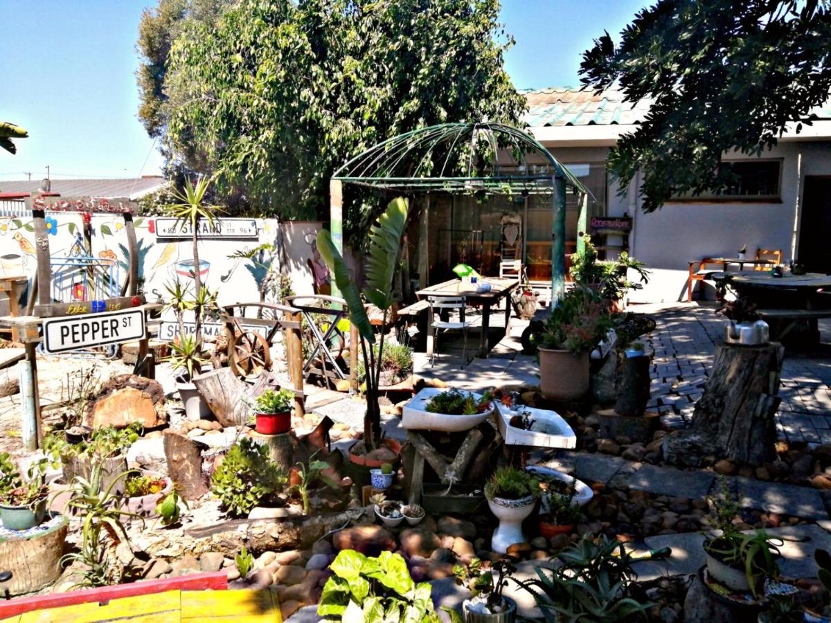 Suzie'S Coffee Shop Accommodation Белвил Екстериор снимка